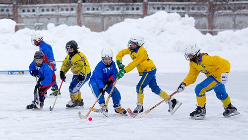 Ishockey. Foto: Colourbox