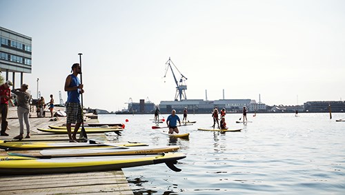 Stand Up Paddle Foto: Photopop/Visit Aarhus