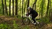 Mountainbike i skoven. Foto: Colourbox